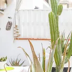 Terrace Retreat
