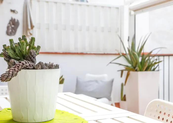 Apartament Cuban Terrace