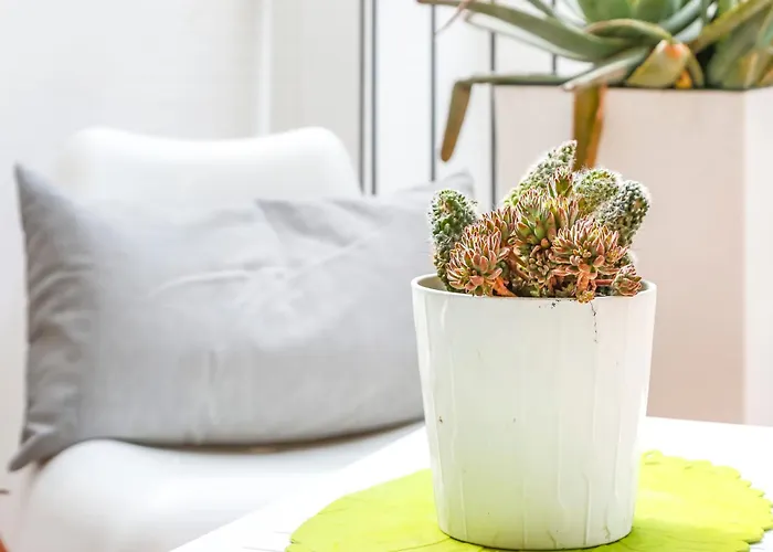 Cuban Terrace Apartament Sitges